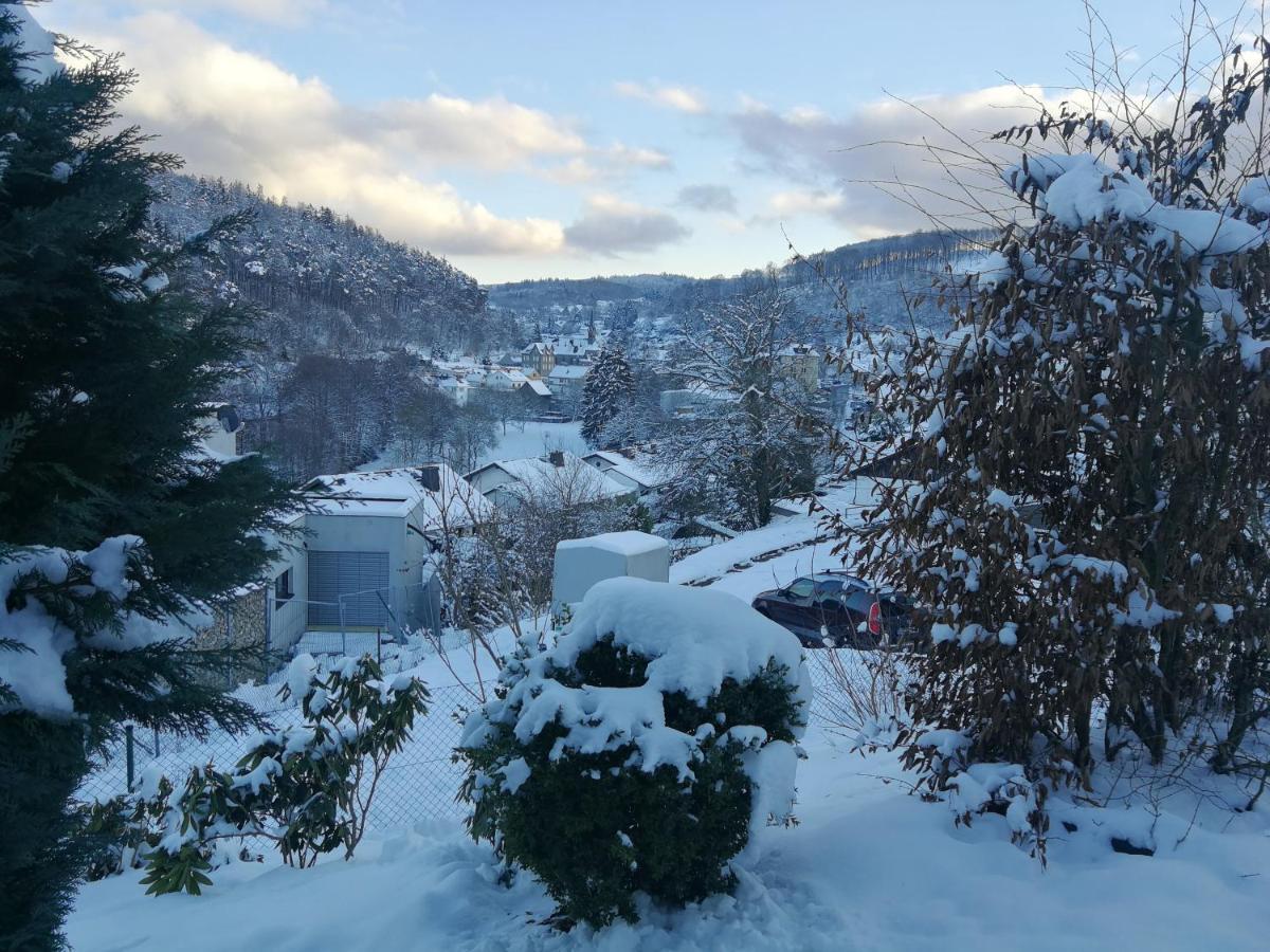 Taunusblick-Meissner Schmitten エクステリア 写真